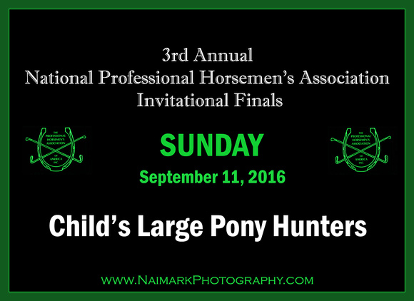 160911 NPHA NaimarkPhoto Sun 3' Child's Large Pony Hunters