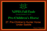 10/09/16 27. Pre-Children's Hunter Horse u/s