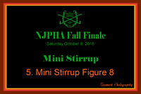 10/08/16 05. Mini Stirrup Figure 8