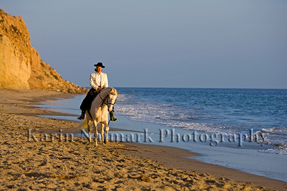 Woman Riding White Horse By the Beach