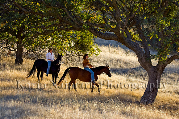 Two Women on Horses In Wheat Field Riding Under Tree