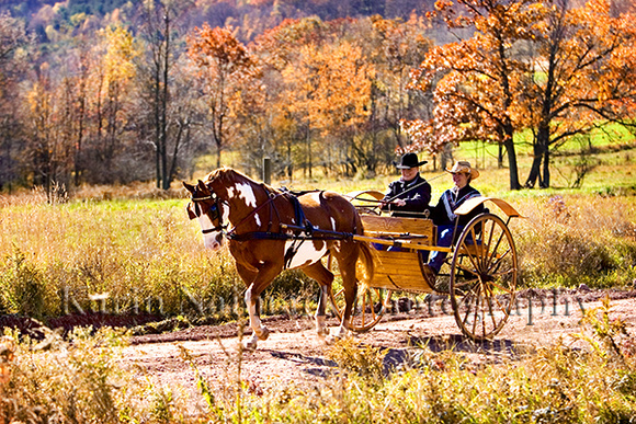 Man & Woman Driving Horse & Carriage Through Catskills Autumn Co