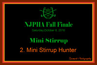 10/08/16 02. Mini Stirrup Hunter