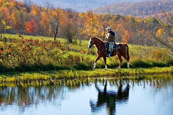 Cowboy Riding Horse By Water