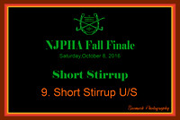 10/08/16 09. Short Stirrup U/S