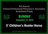9/11/16 3' Children's Hunter Horse
