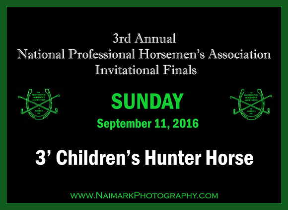 160911 NPHA NaimarkPhoto Sun 3' Children's Hunter Horse