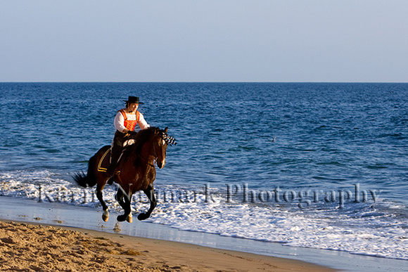 Woman Riding Horse on Beach