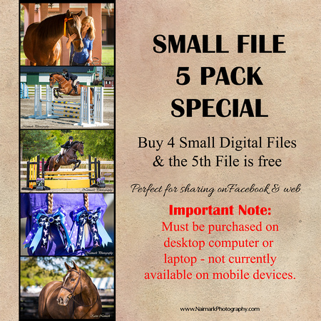 SMALL File 5 Pack Special Square